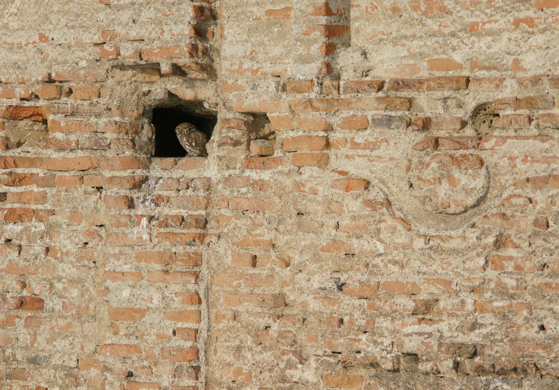 pc-orasulrochiajna0015b