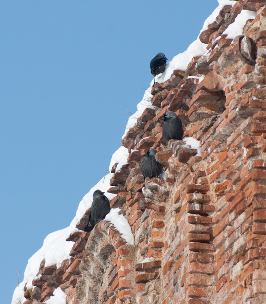 pc-orasulrochiajna0021