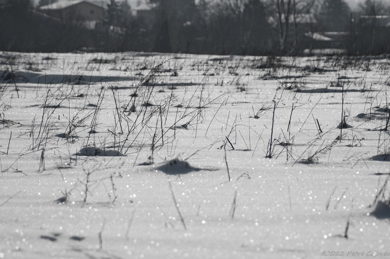 pc-orasulrochiajna0024