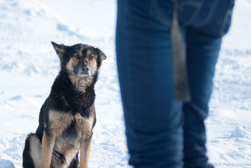 pc-orasulrochiajna0027