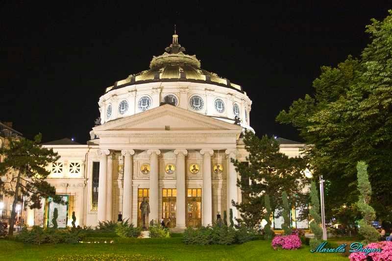 20090516_marcella_07