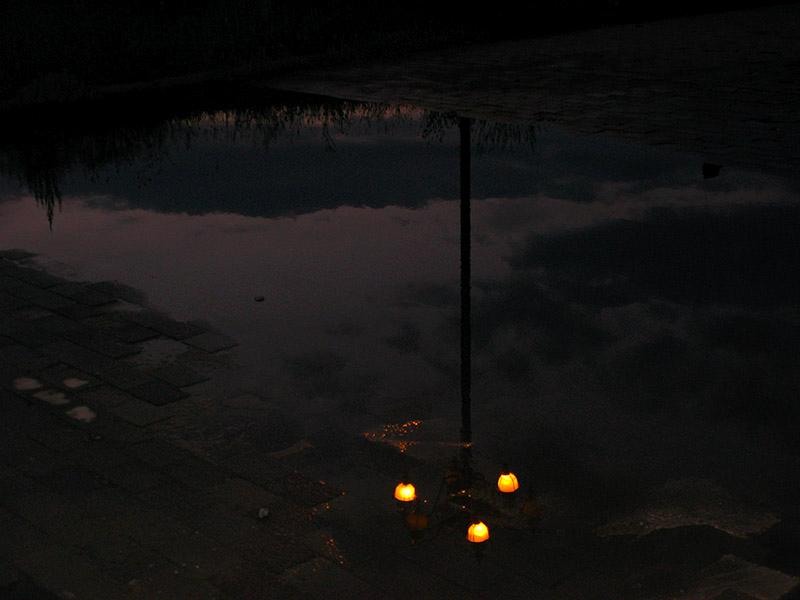 20090516_cmunteanue_05