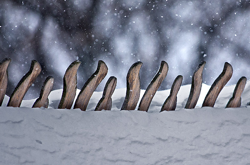 serbanvornicu_dragobete_10