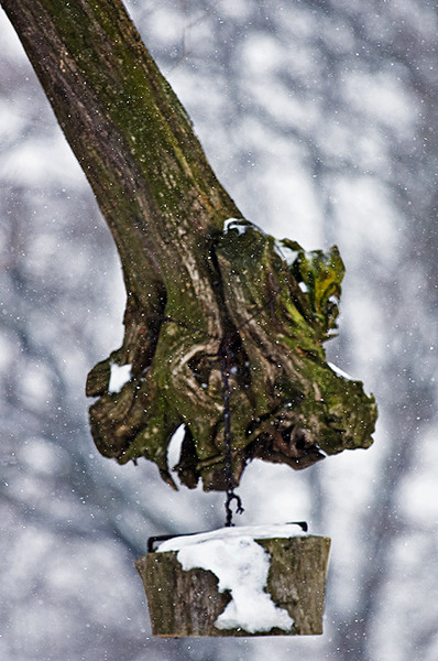 serbanvornicu_dragobete_11