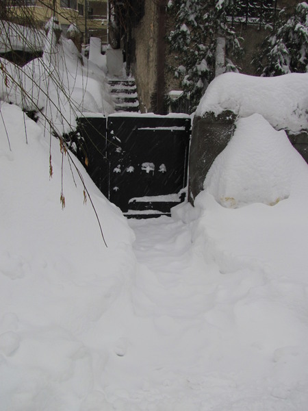 Te-aştept deseară la portiţă