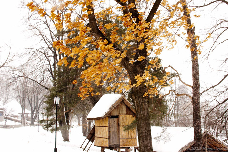 pc-orasuldragobete_dsc1651