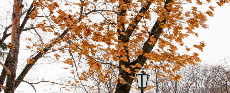 pc-orasuldragobete_dsc1660