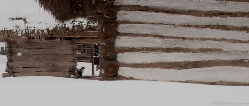 pc-orasuldragobete_dsc1682