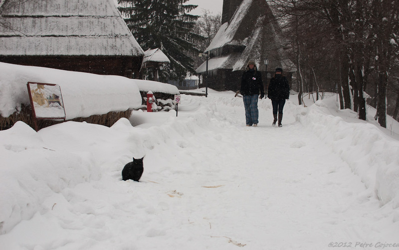 pc-orasuldragobete_dsc1685