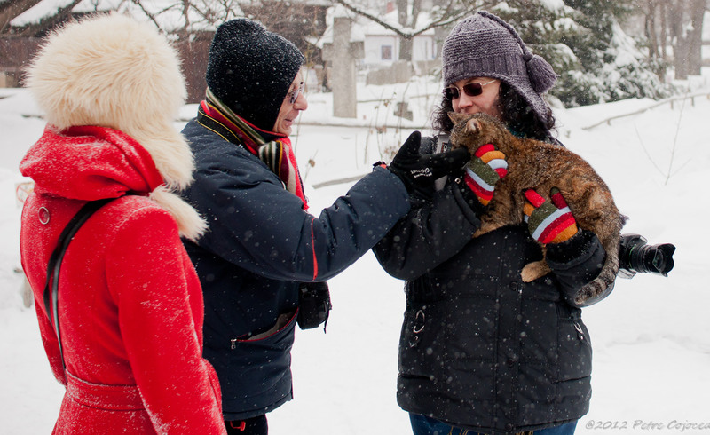 pc-orasuldragobete_dsc1714