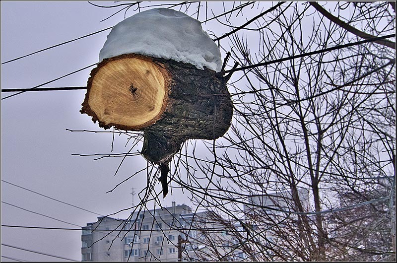 serbanvornicu_iarna_nfilaret_01