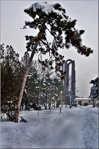 serbanvornicu_iarna_nfilaret_02