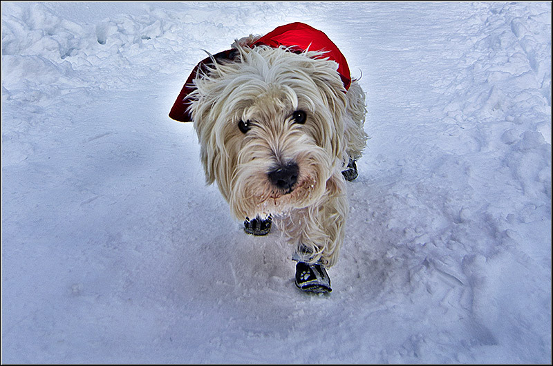 serbanvornicu_iarna_nfilaret_06