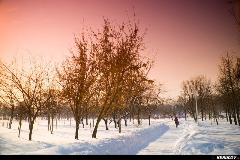 kerucov_2012_culori_de_iarna_bucuresti_filtrate_saturate_02