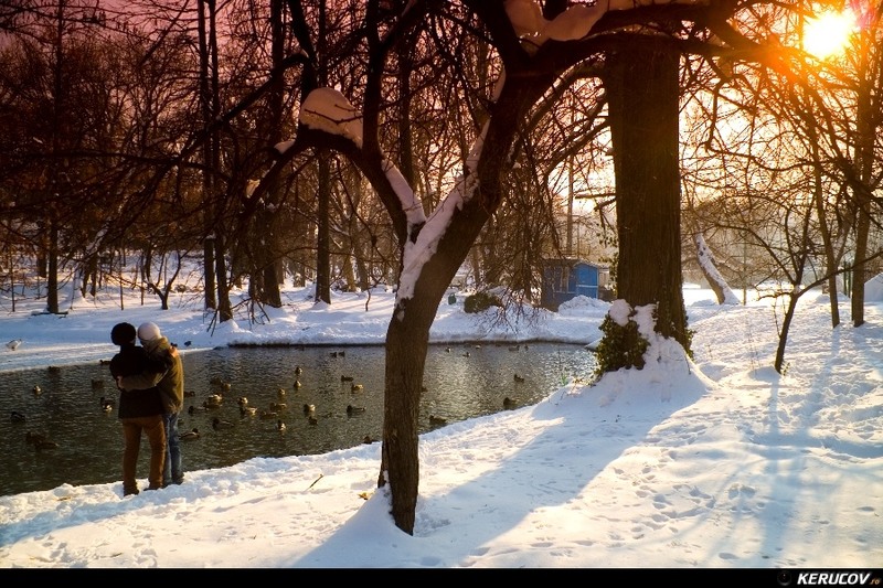 kerucov_2012_culori_de_iarna_bucuresti_filtrate_saturate_19