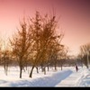kerucov_2012_culori_de_iarna_bucuresti_filtrate_saturate_02