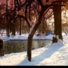 kerucov_2012_culori_de_iarna_bucuresti_filtrate_saturate_19