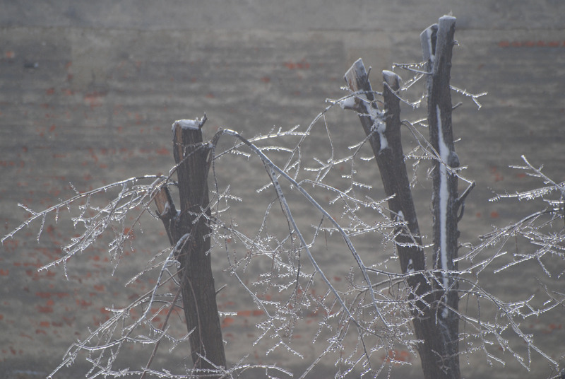 juliakretschdsc_0021