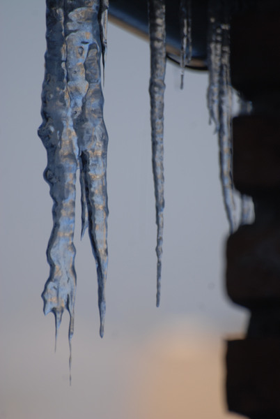 juliakretschdsc_00241