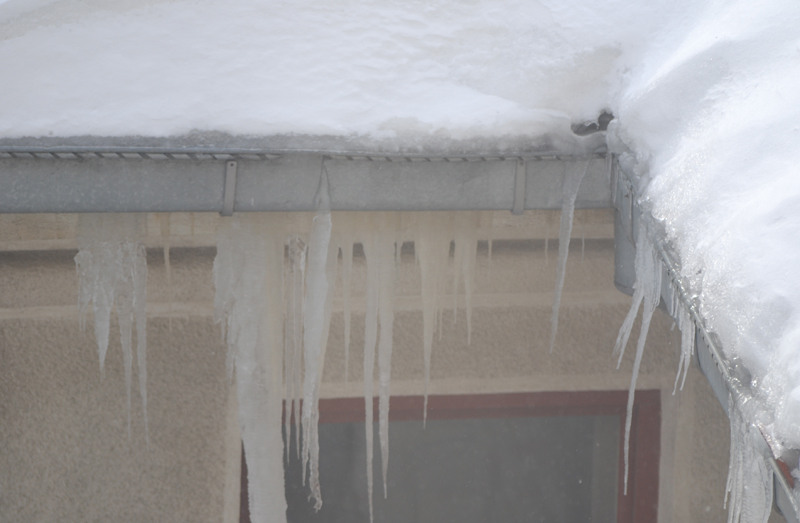 juliakretschdsc_0030