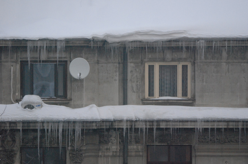 juliakretschdsc_0031