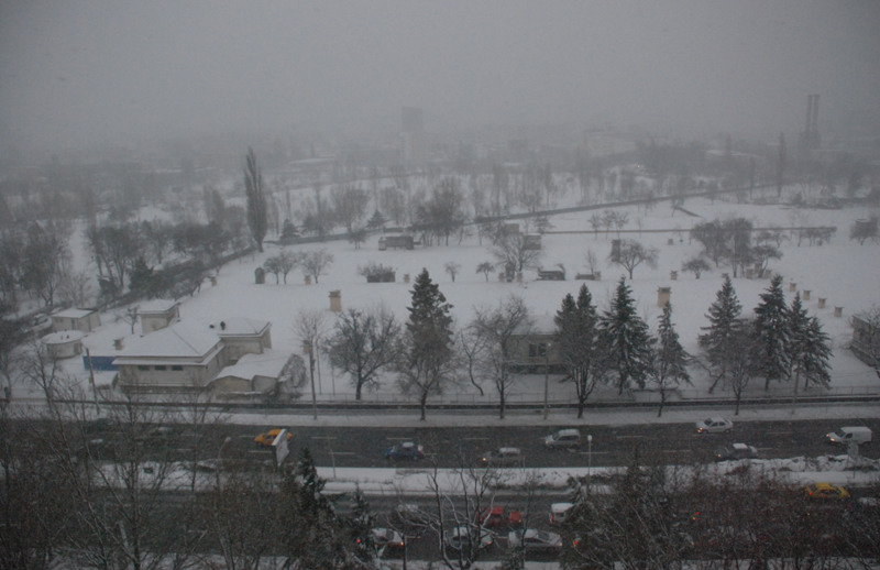 juliakretschdsc_0069