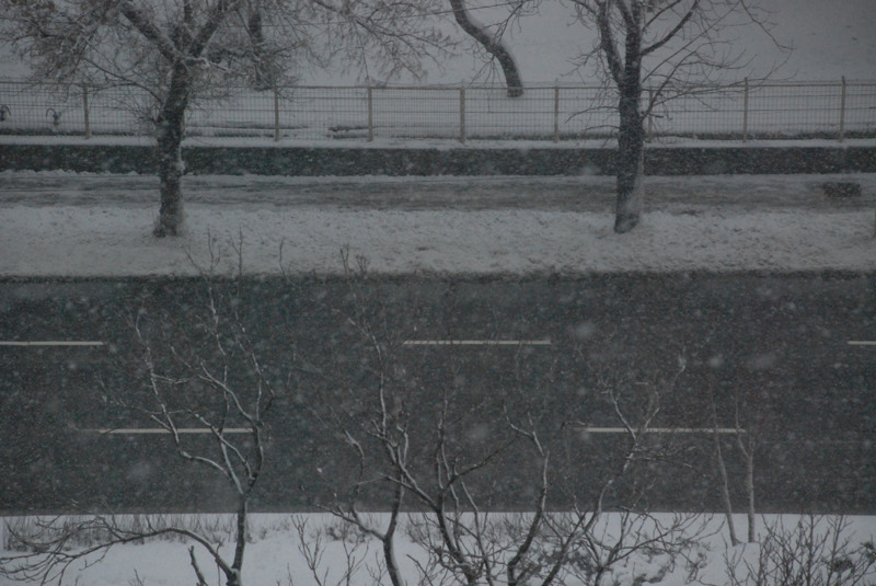 juliakretschdsc_0074