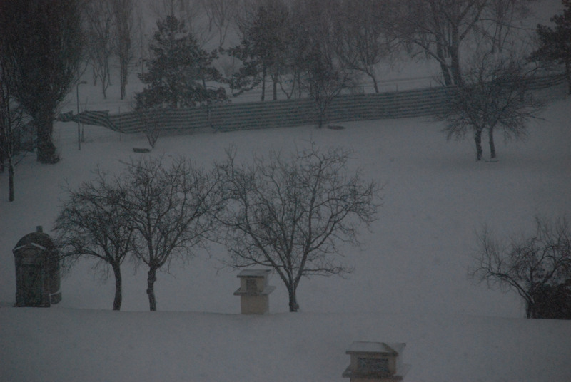 juliakretschdsc_0078