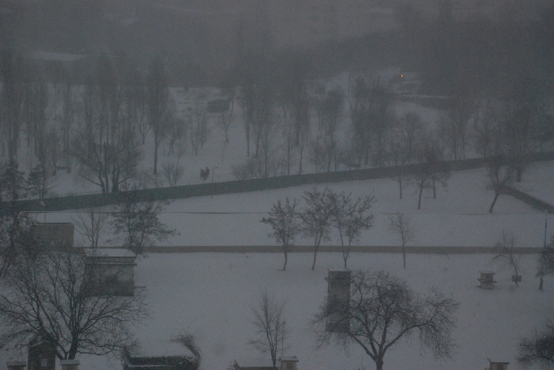 juliakretschdsc_0082