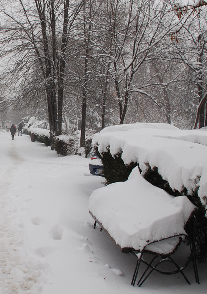 juliakretschdsc_0112