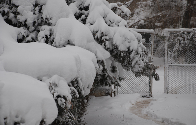 juliakretschdsc_0115