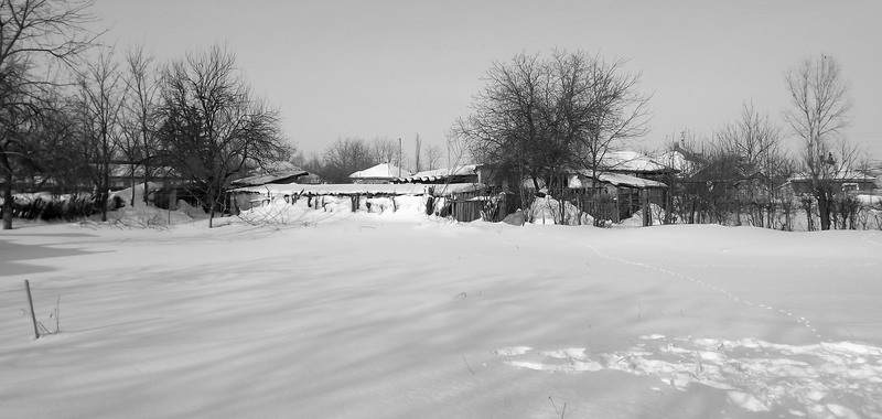 spre gradina vecinilor