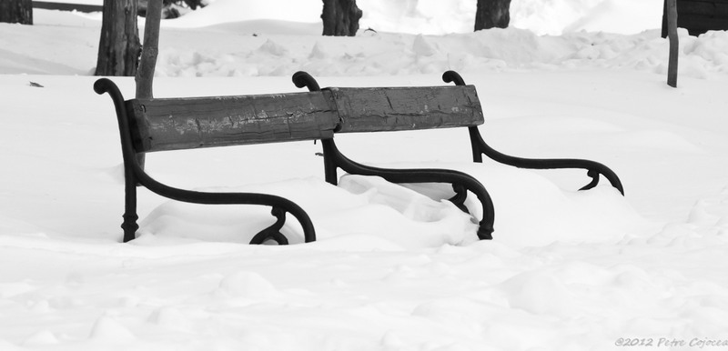 pc-filaretorasulro_dsc2363