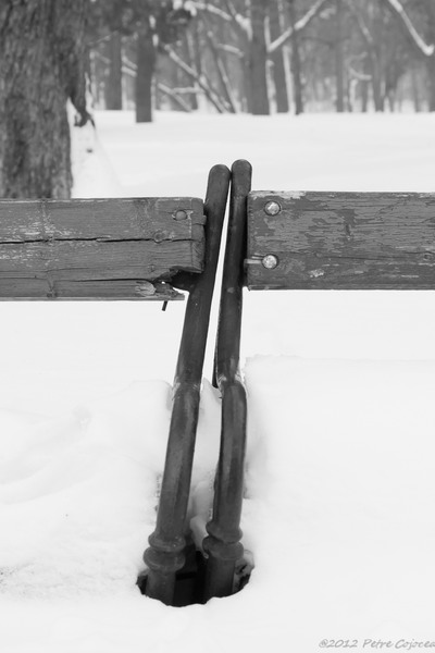 pc-filaretorasulro_dsc2365