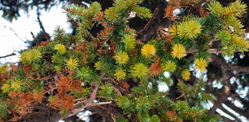 pc-filaretorasulro_dsc2372