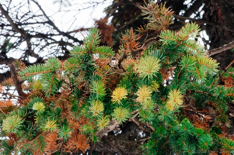 pc-filaretorasulro_dsc2375