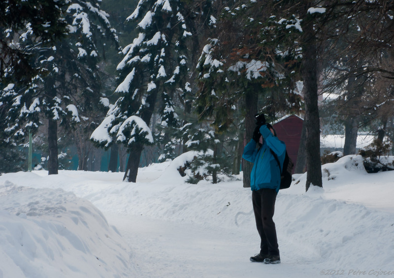 pc-filaretorasulro_dsc2378