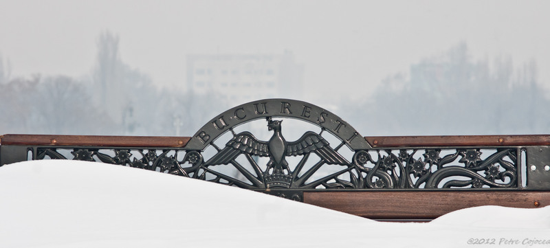 pc-filaretorasulro_dsc2398