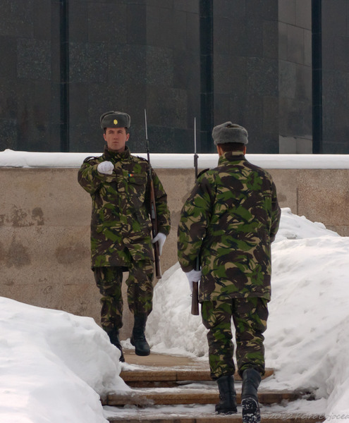 pc-filaretorasulro_dsc2421