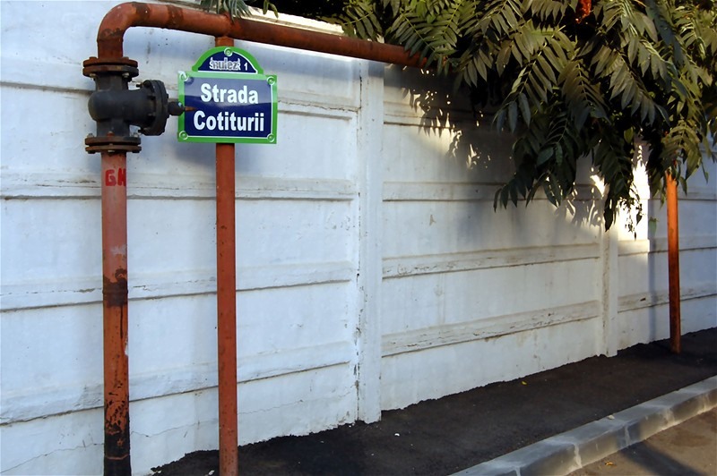 20090725_gmihaila_11