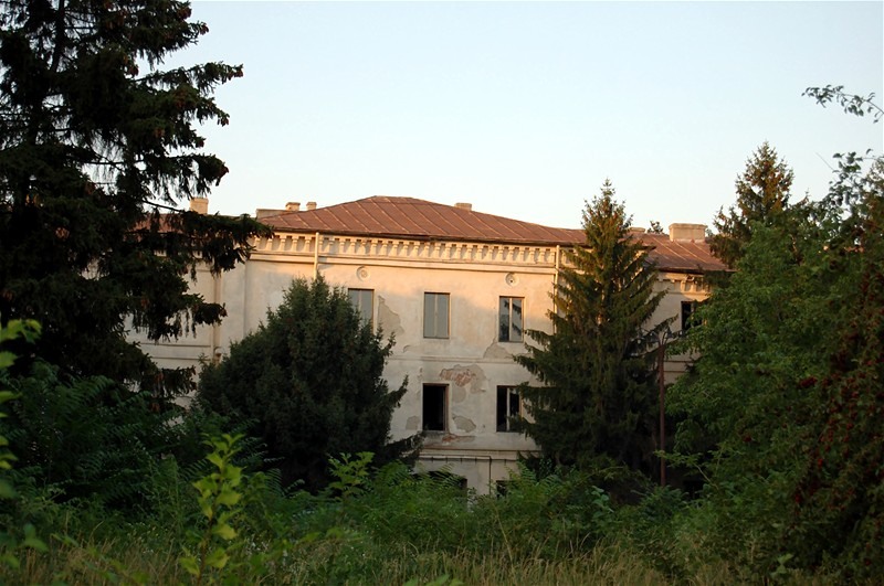 20090725_gmihaila_13