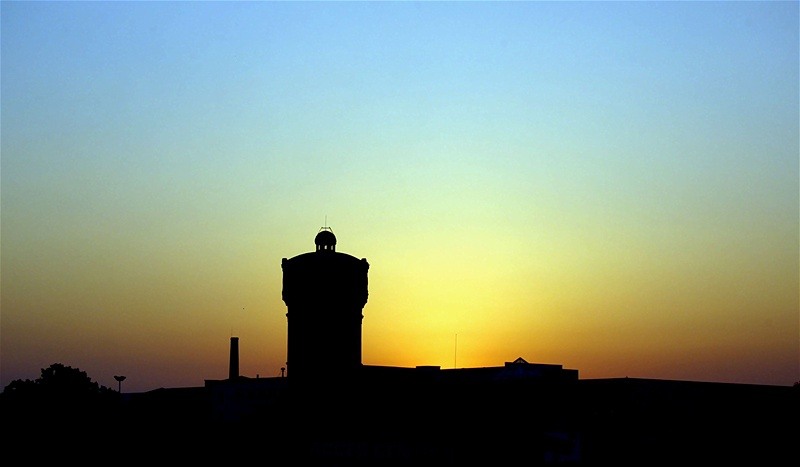 20090725_gmihaila_14