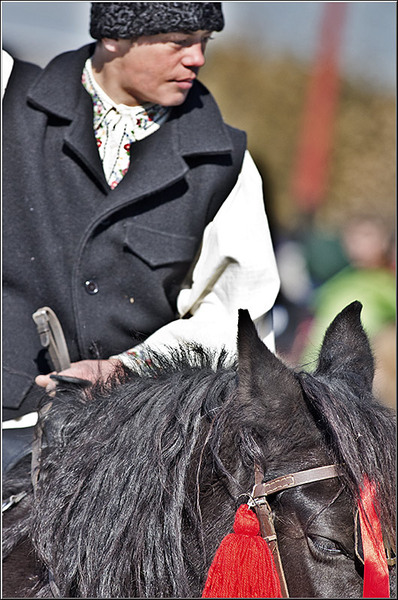 serbanvornicu_pastelecailor2012_13