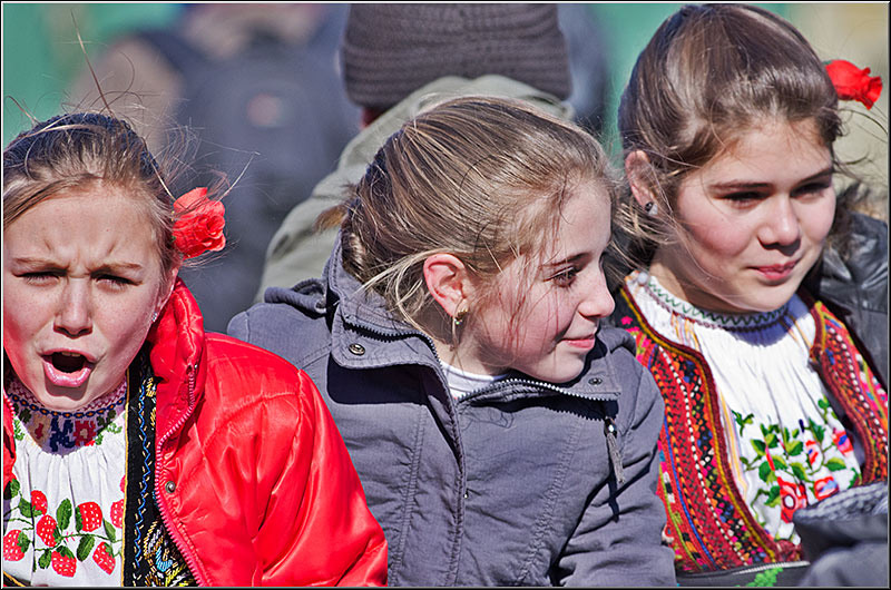 serbanvornicu_pastelecailor2012_17