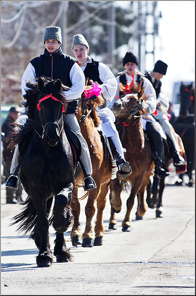 serbanvornicu_pastelecailor2012_24
