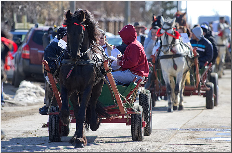 serbanvornicu_pastelecailor2012_25