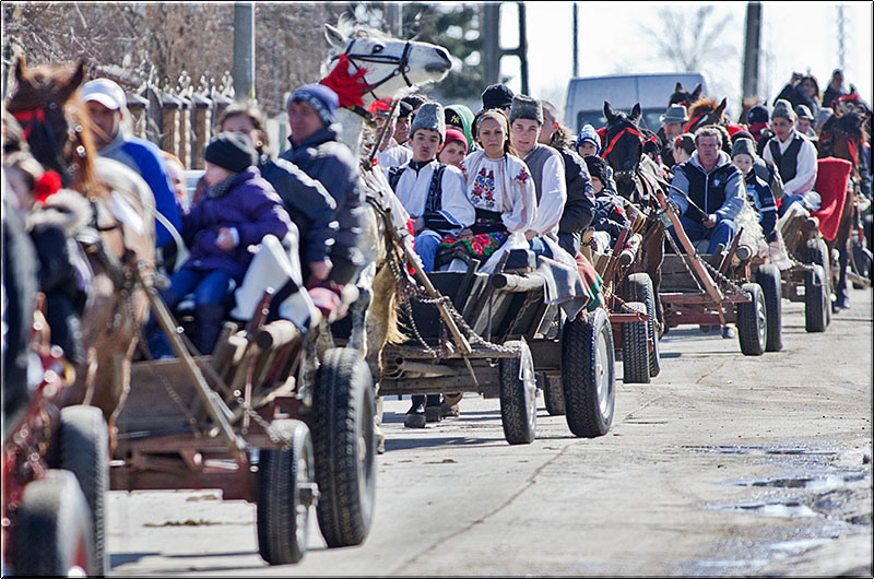 serbanvornicu_pastelecailor2012_26
