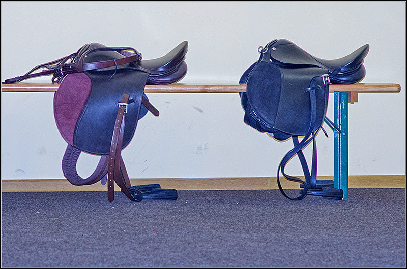 serbanvornicu_pastelecailor2012_28