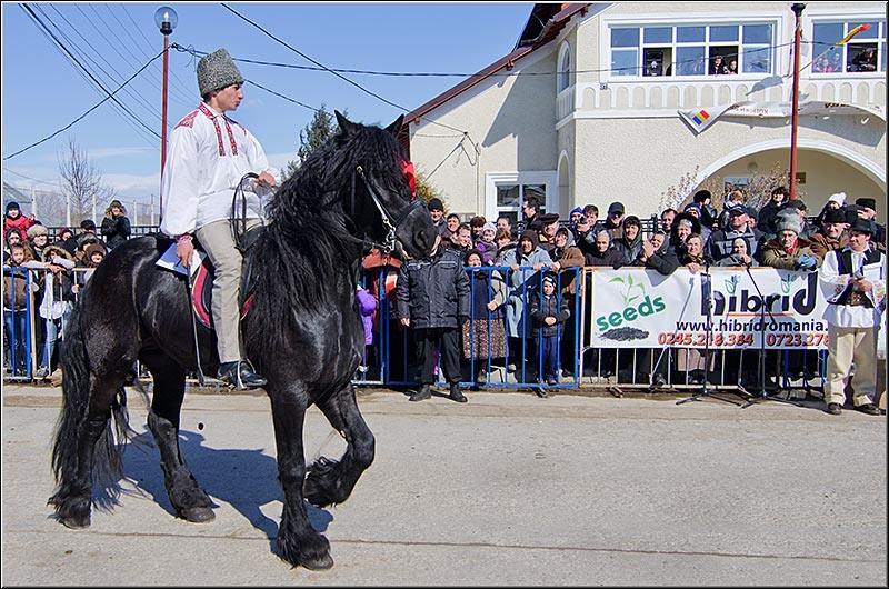 serbanvornicu_pastelecailor2012_29