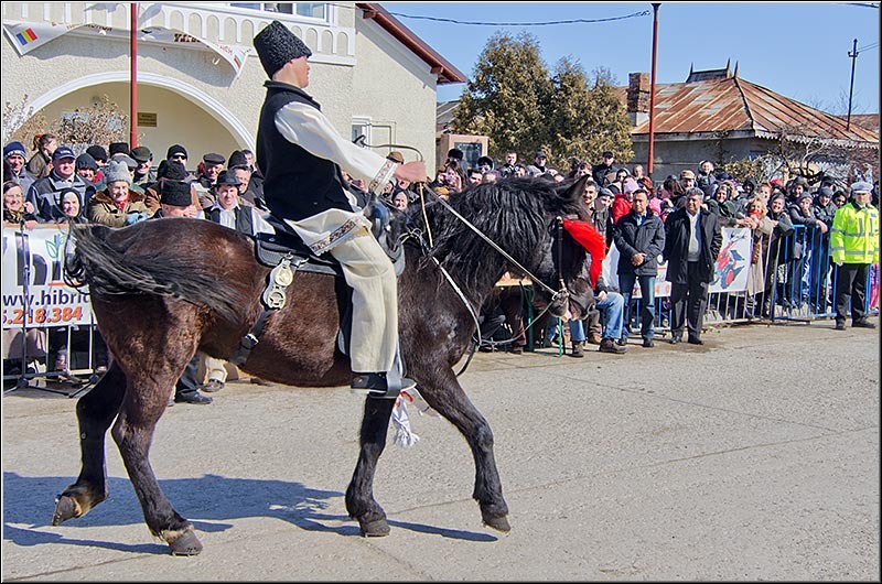 serbanvornicu_pastelecailor2012_31